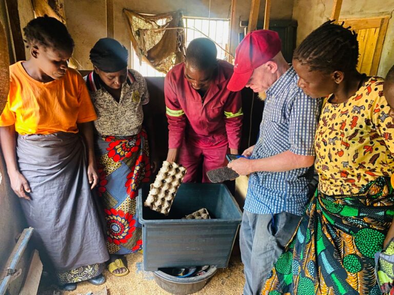 Cricket Farming in Mulanje District: A Climate-Smart Pathway to Nutrition, Income, and Community Resilience